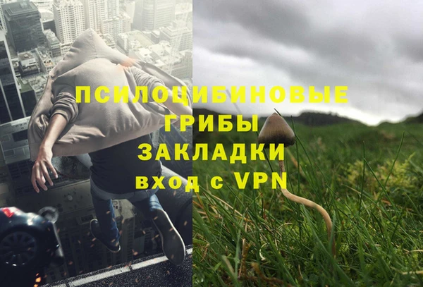 бутират Костерёво