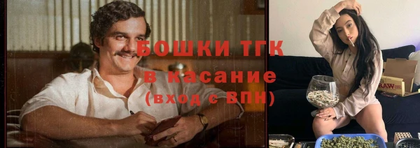 каннабис Корсаков