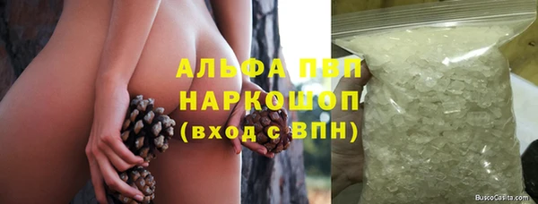 каннабис Корсаков