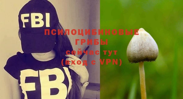 каннабис Корсаков