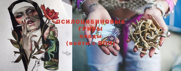 каннабис Корсаков