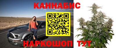 бошки Ирбит