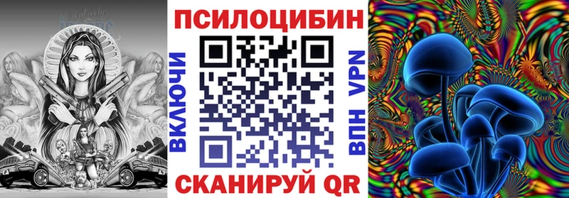 Галлюциногенные грибы Psilocybe  блэк спрут ССЫЛКА  Кунгур 